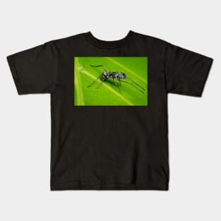 Unique and organic photo of an ant mimic spider Kids T-Shirt